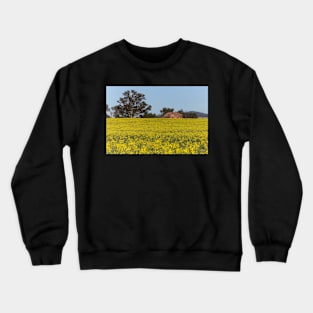 Canola Feild Crewneck Sweatshirt